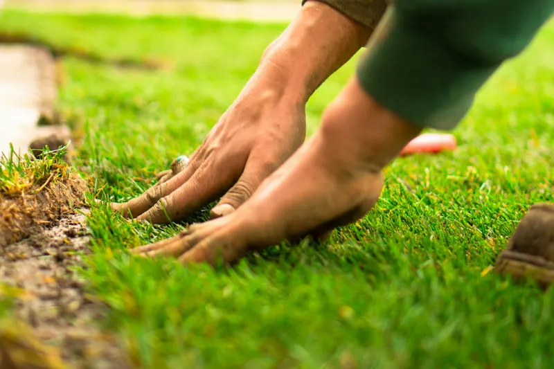 Hands pressing fresh turf into soil.